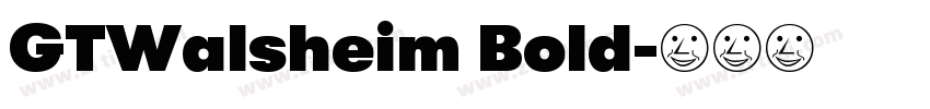GTWalsheim Bold字体转换 GTWalsheim Bold字体转换